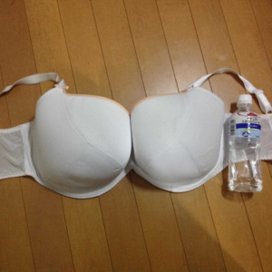 news4vip 1656548494 105 300x300 - 【画像】 おっぱいQカップの女ってどうよ