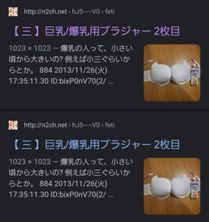 news4vip 1656548494 4101 300x318 - 【画像】 おっぱいQカップの女ってどうよ