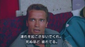 news 1742610471 2601 300x168 - 【狂気】 「ペット同伴」拒否された女、トイレで飼い犬を殺害して一人で搭乗